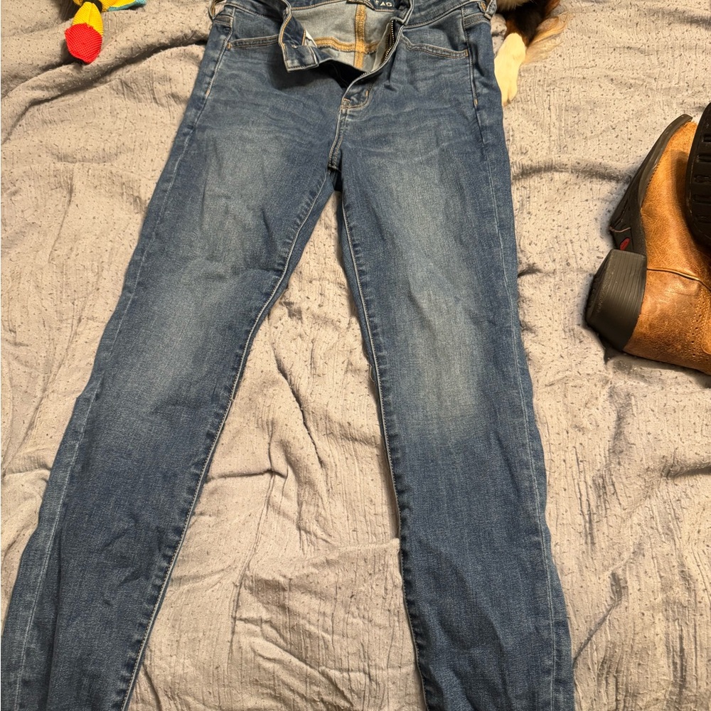 American Eagle Outfitters Blue Skinny Jeans